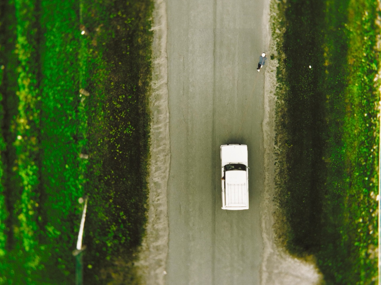 DaVinci Wide Gamut Music Video Colour Grade Still #14 — insyt. 'Toll' | Muk Post Post-Production