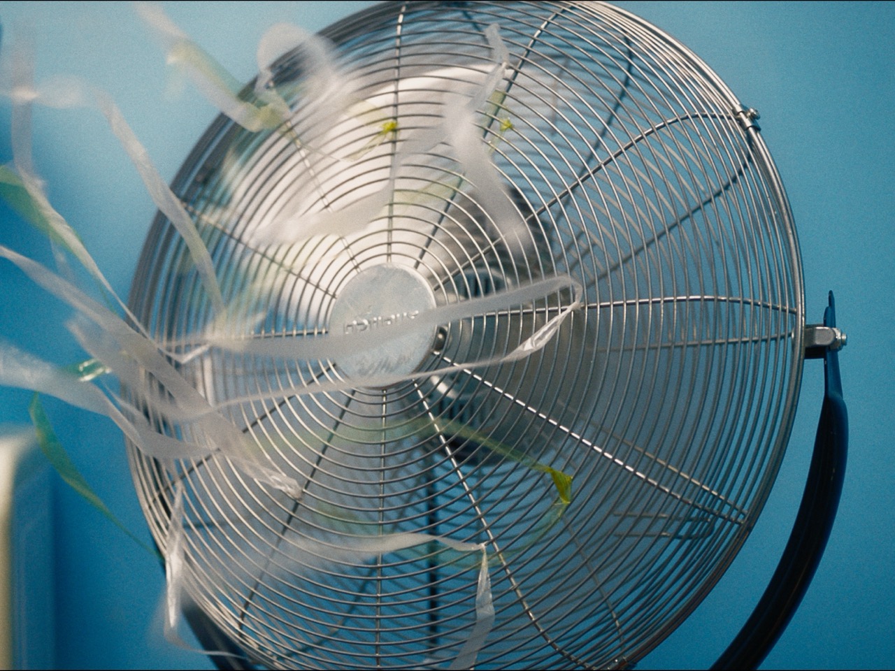 ARRI Alexa 35mm Film Print Emulation Still #41 — Donat Jackson 'needmoretime!' Directed by Mason Cline | Muk Post Colourist